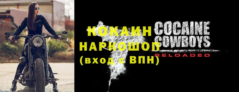 Cocaine Fish Scale  купить наркоту  kraken рабочий сайт  Касимов 